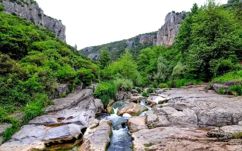 Türkiye’nin En Çok Z...