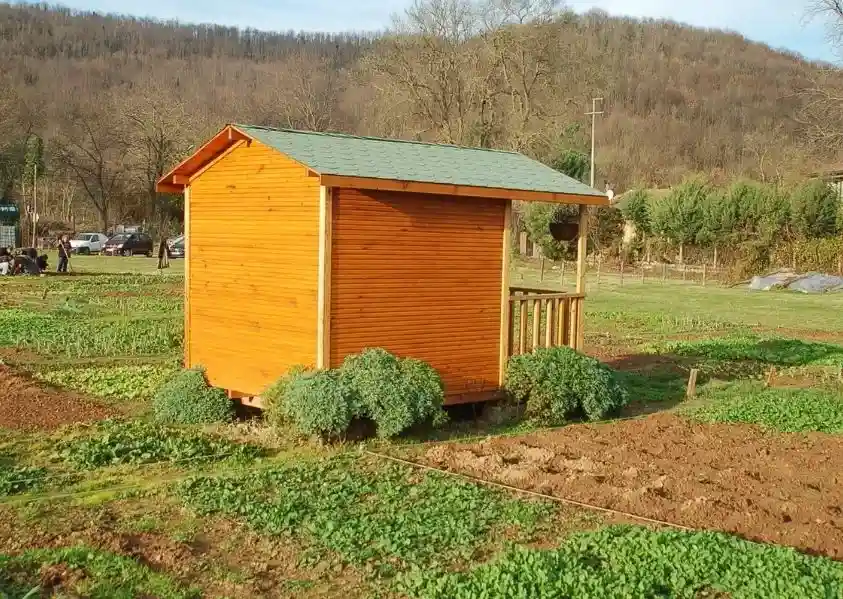 Hobi Bahçeciliği ve ...