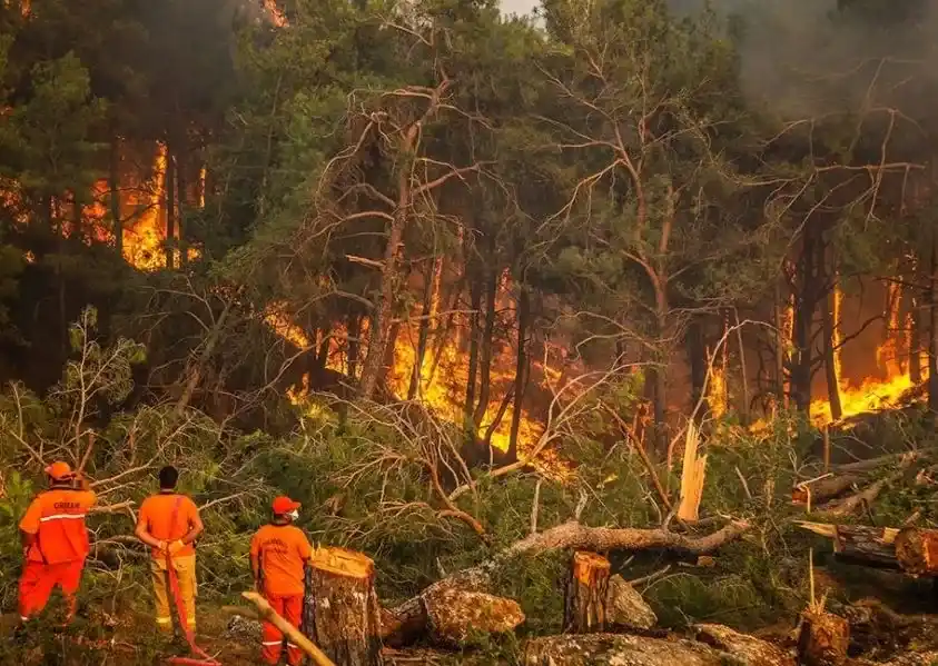 Yeni Bakanlık Kurulu...