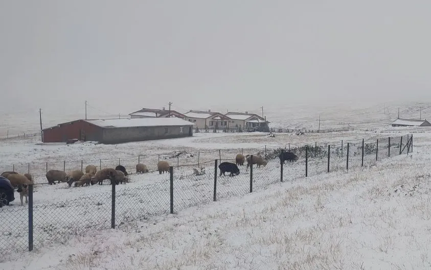 6 ilde kar sürprizi:...