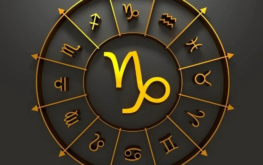 Oğlak Burcu: Disipli...