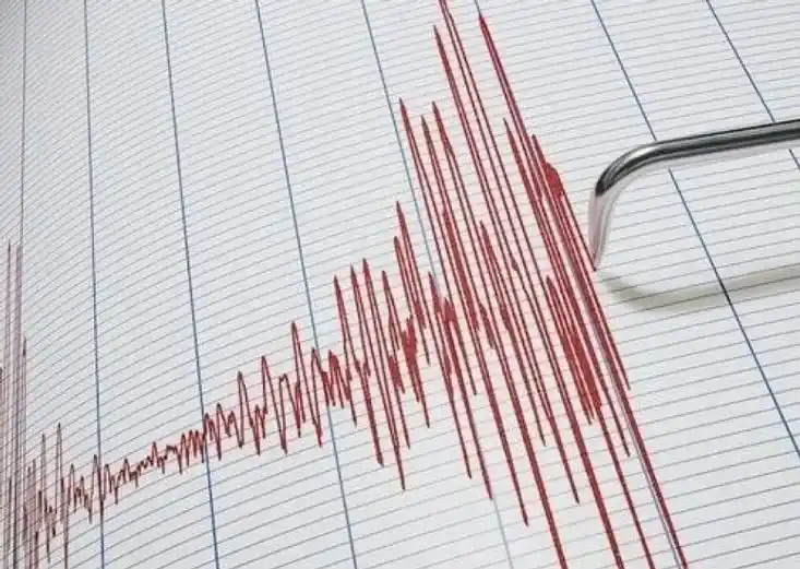 Diyarbakır Hani'de 4...